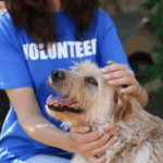 Volunteer petting a dog